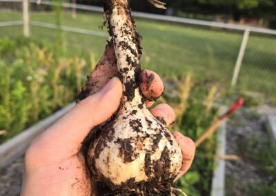 20240721_194405 - Copy