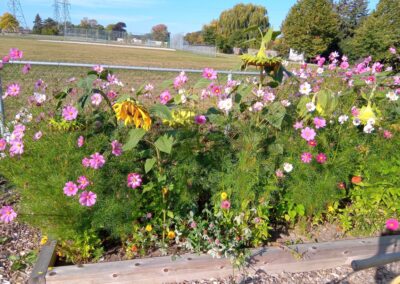 IMG_20230930_094809_416 - Copy