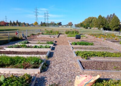 IMG_20230930_095425_093 - Copy